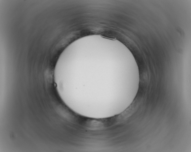 X0000113870180200910221342