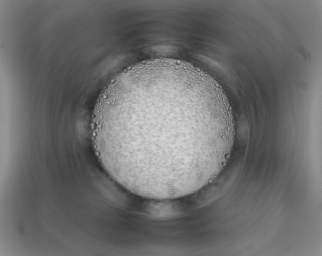 X0000113870181200910221342