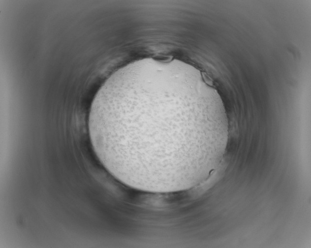 X0000113870182200910221342