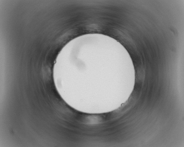 X0000113870183200910221342
