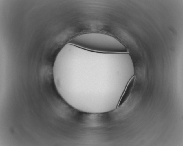 X0000113870184200910221342