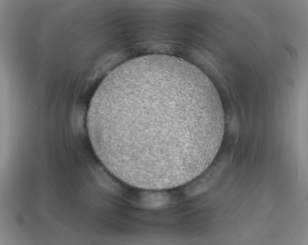 X0000113870185200910221342