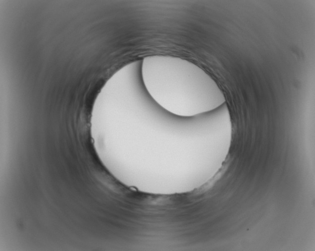 X0000113870186200910221342