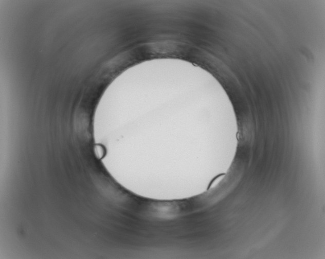 X0000113870187200910221342