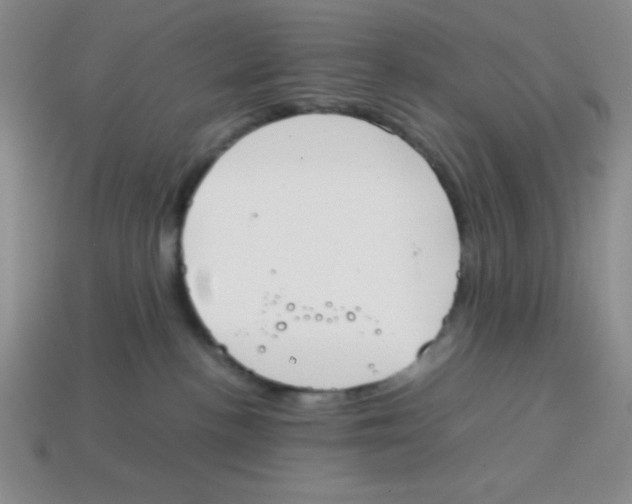 X0000113870188200910221342