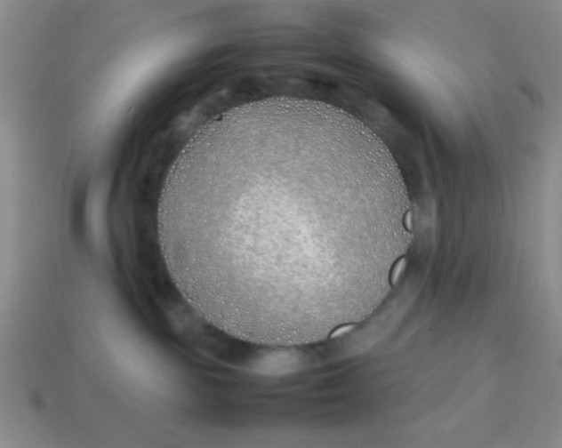 X0000113870189200910221342