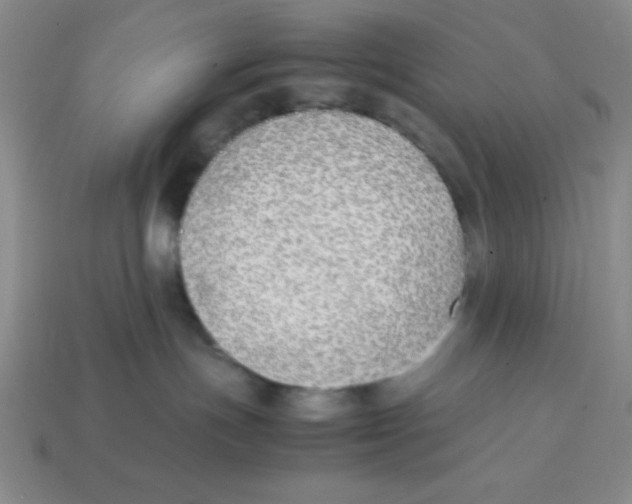X0000113870191200910221342
