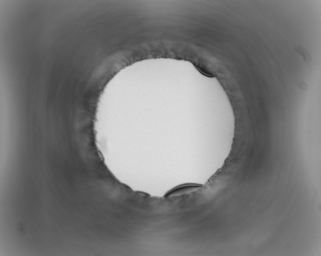X0000113870192200910221342