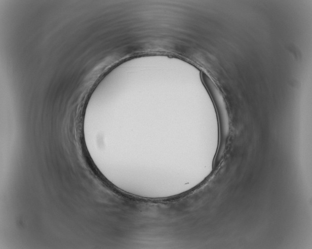 X0000113870193200910221342