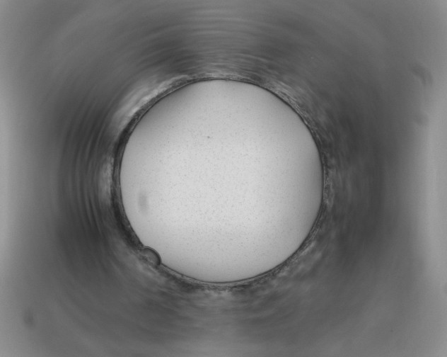X0000113870194200910221342
