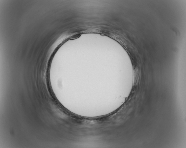 X0000113870195200910221342