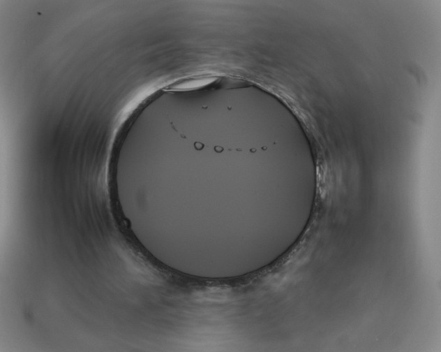 X0000113870196200910221342