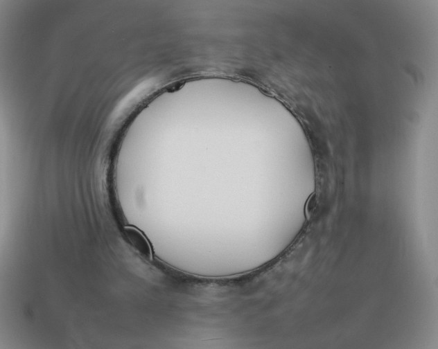 X0000113870197200910221342