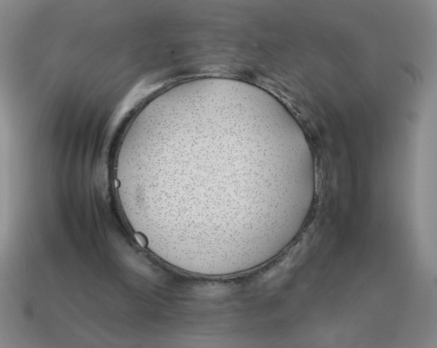 X0000113870198200910221342
