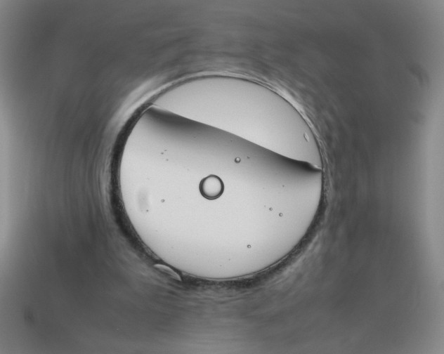 X0000113870199200910221342
