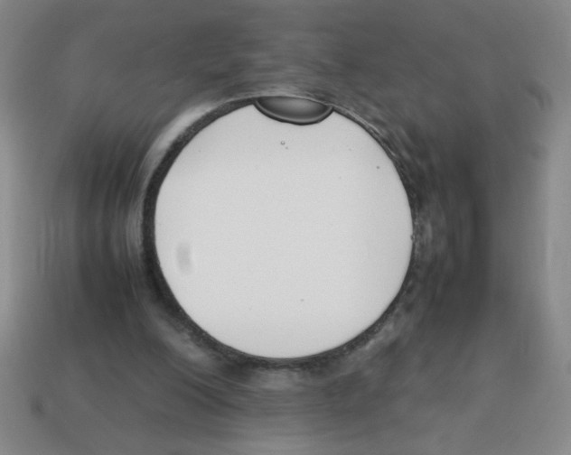 X0000113870200200910221342