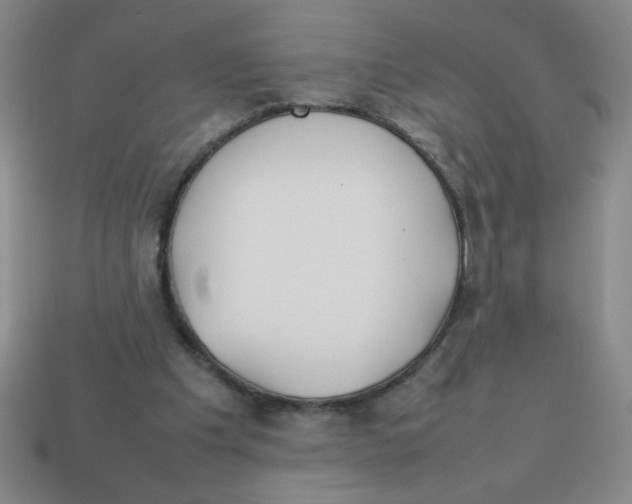 X0000113870201200910221342