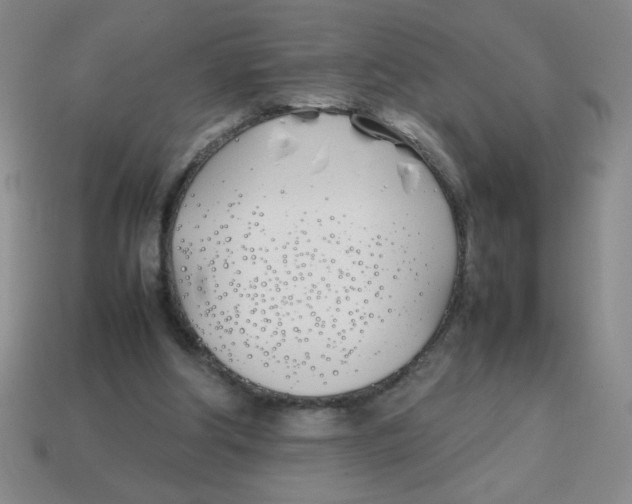 X0000113870202200910221342
