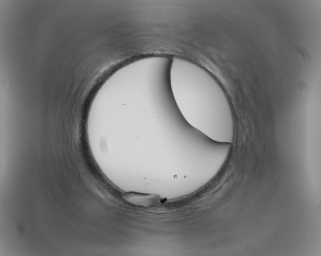 X0000113870203200910221342