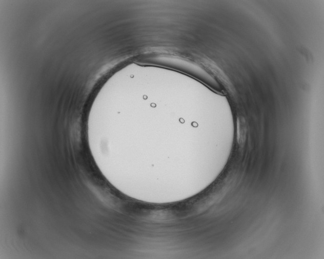 X0000113870204200910221342