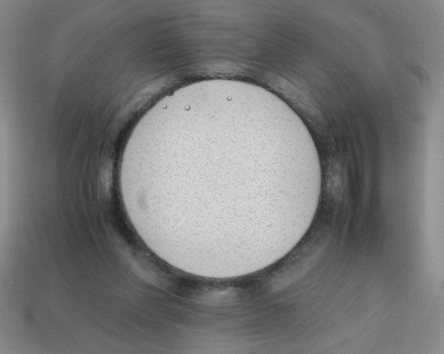 X0000113870206200910221342