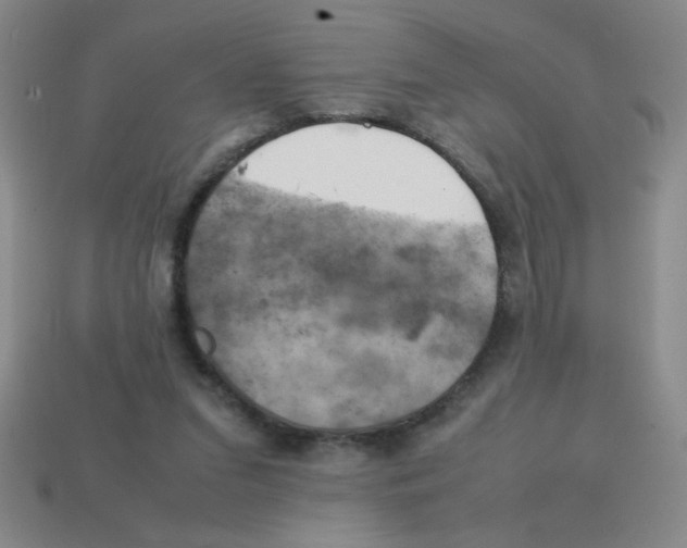 X0000113870207200910221342