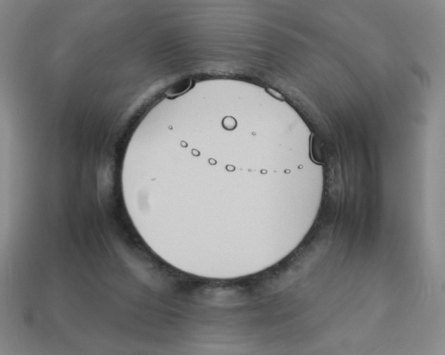 X0000113870208200910221342