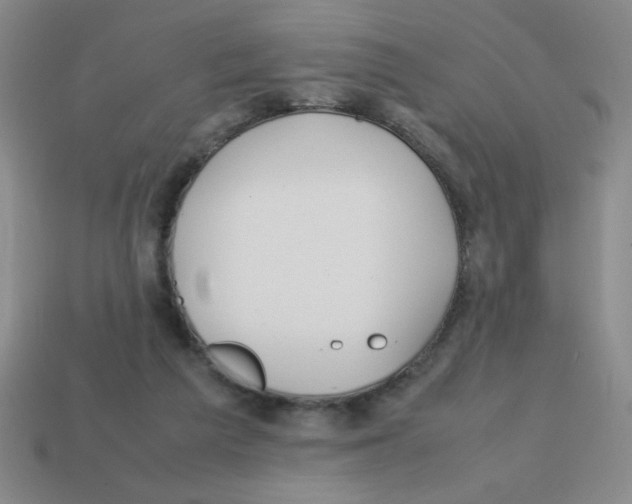 X0000113870209200910221342