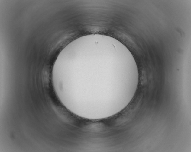 X0000113870210200910221342