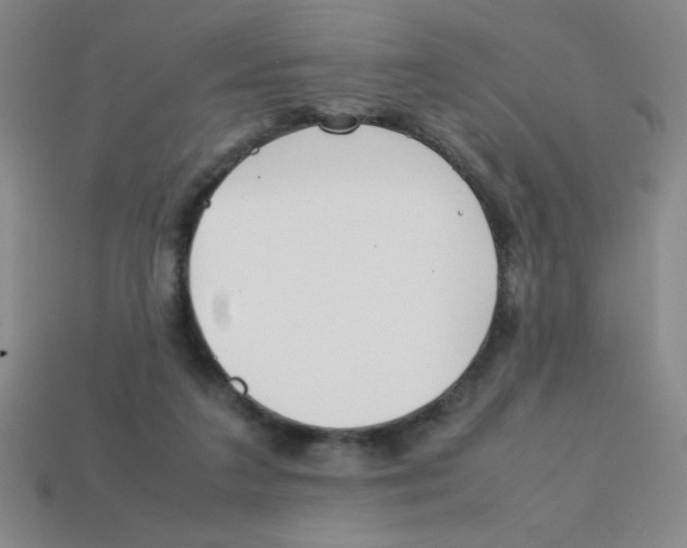 X0000113870211200910221342