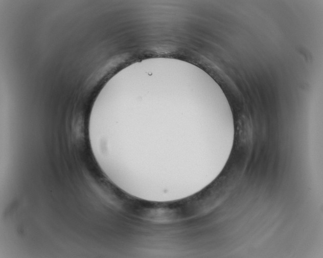 X0000113870212200910221342