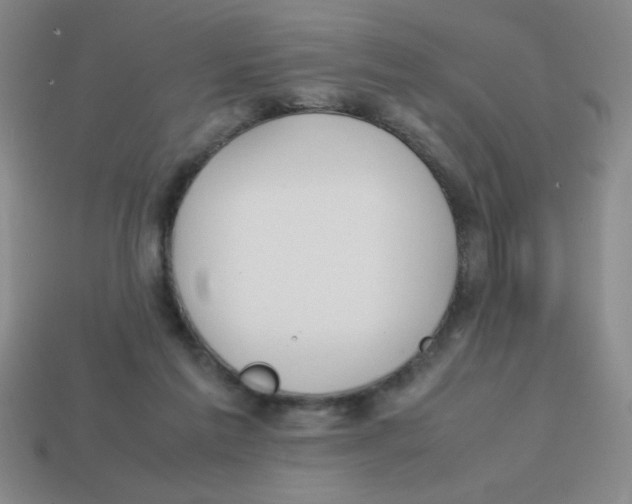 X0000113870213200910221342