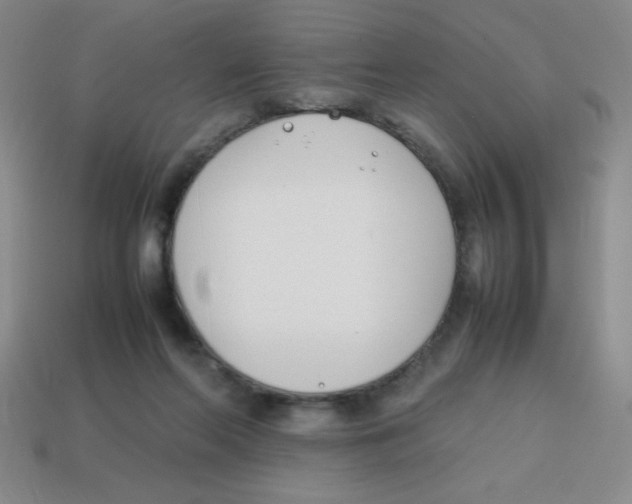 X0000113870214200910221342