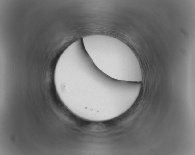X0000113870215200910221342