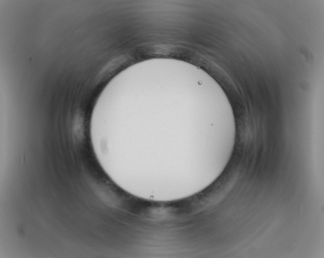 X0000113870216200910221342