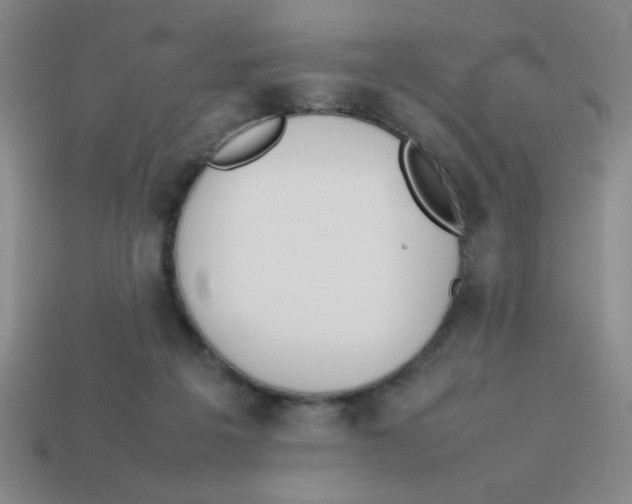 X0000113870217200910221342