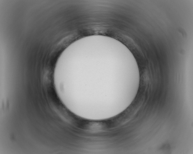 X0000113870218200910221342