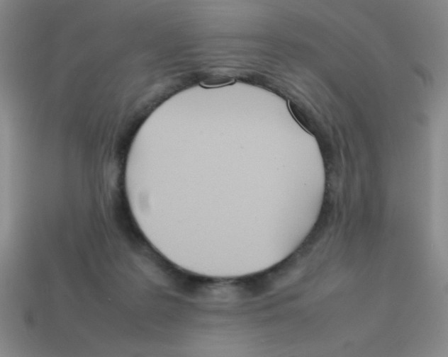 X0000113870219200910221342