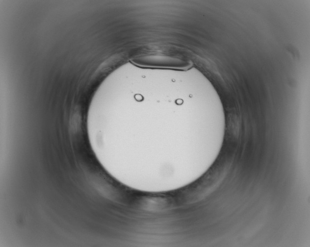 X0000113870220200910221342