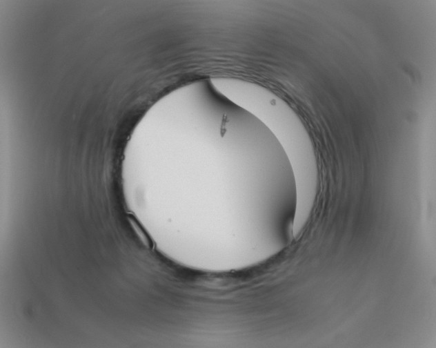 X0000113870221200910221342