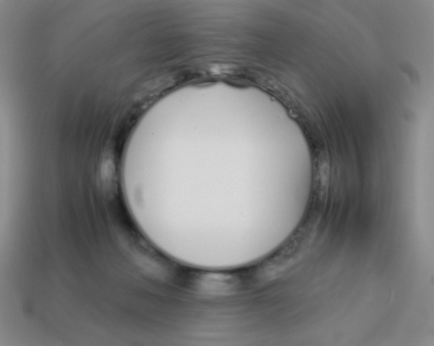 X0000113870222200910221341