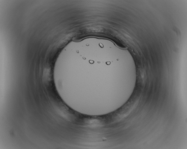 X0000113870224200910221341