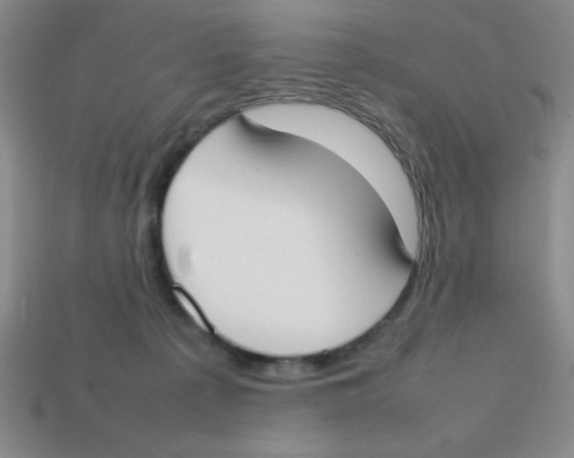 X0000113870225200910221341