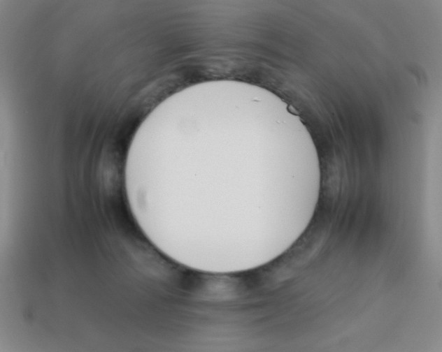 X0000113870226200910221341