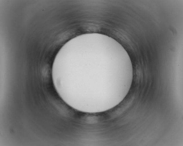 X0000113870228200910221341
