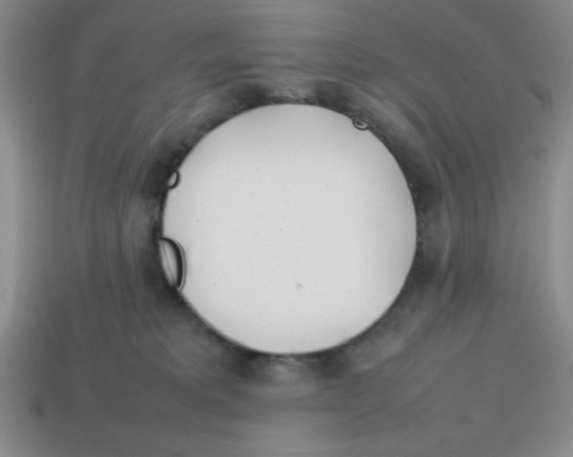 X0000113870229200910221341