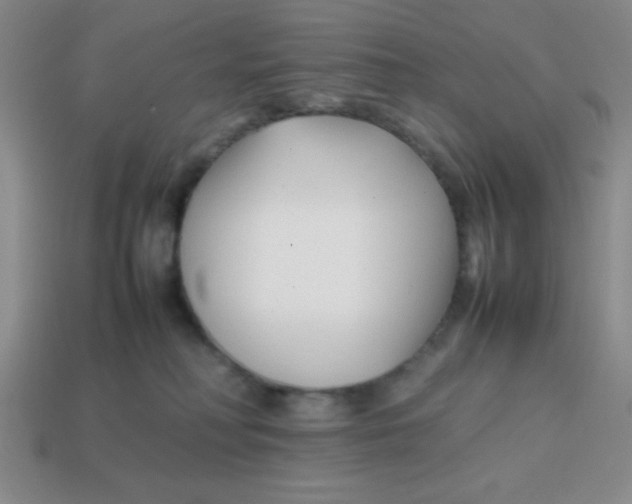 X0000113870230200910221341