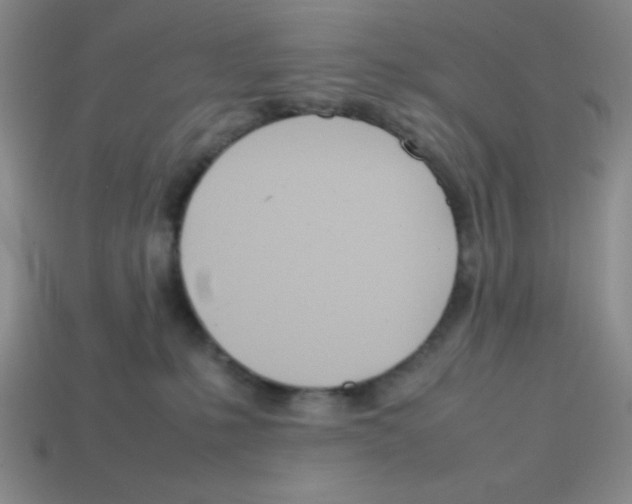 X0000113870231200910221341