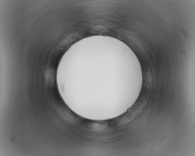X0000113870232200910221341