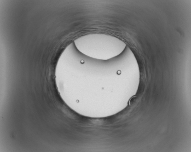 X0000113870233200910221341